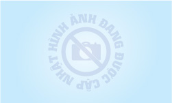 Áo thun đồng phục công ty MARCELEX